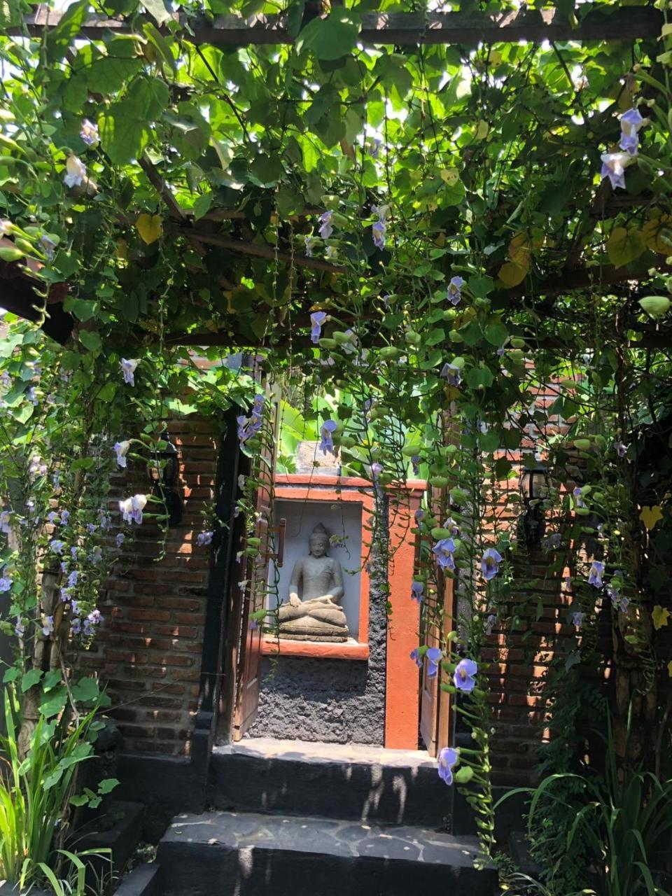 Tribe Theory Startup Village For Entrepreneurs Kuta Lombok Exterior foto